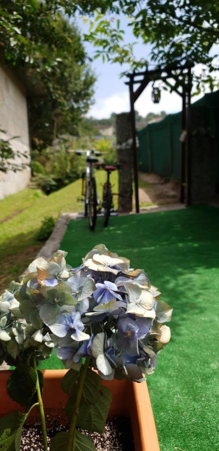 Quinta De Carvalhal - Casa De Campo Guimaraes Ngoại thất bức ảnh